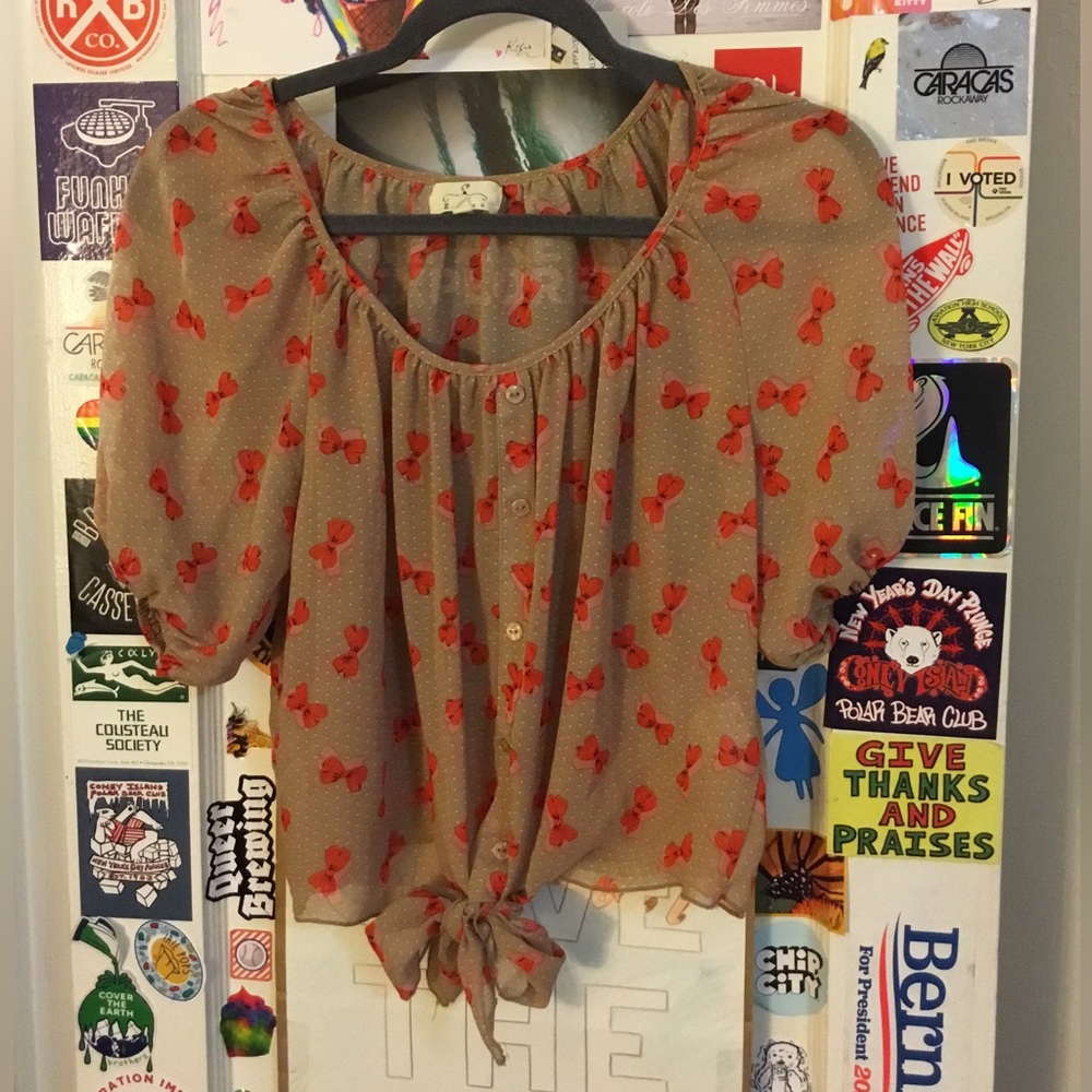 Sheer crop top blouse puff sleeve